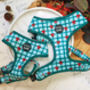 Festive Plaid Christmas Dog Harness, thumbnail 1 of 9