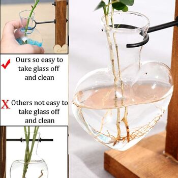 Glass Hydroponic Plant Vases Terrarium With Stand, 4 of 7