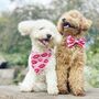 Kisses Print Dog And Cat Bow Tie, thumbnail 3 of 3
