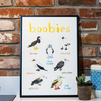 'Boobies' Illustrated Bird Art Print, 2 of 3