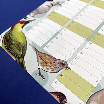 2025 Garden Birds Wall Calendar And Year Planner, 3 of 9