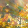 Autumn Magic Landscape, thumbnail 7 of 8