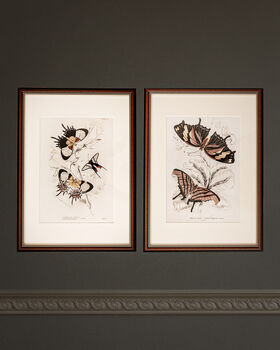 Framed Set Of Two Vintage Butterfly Art Prints, 2 of 9