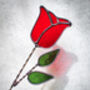 Stained Glass Rose Red Or White Everlasting Flowers, thumbnail 1 of 12