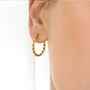 18k Gold Plated Twist Hoop Earrings, thumbnail 1 of 7