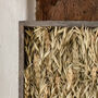 Natural Dried Oat And Wheat Wall Art Frame, thumbnail 3 of 6