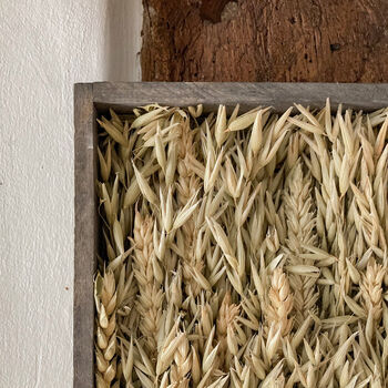 Natural Dried Oat And Wheat Wall Art Frame, 3 of 6