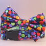 Multicoloured Confetti Dog Bow Tie, thumbnail 1 of 11