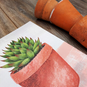 Echeveria Agavoides Illustrated Print, 3 of 5