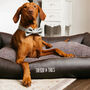 Sustainable Luxury Sofa Dog Bed Kuno, thumbnail 1 of 7