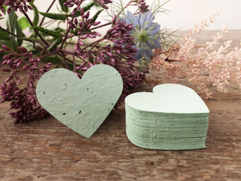 Eco Friendly Plantable Multicoloured Seed Paper Hearts, 9 of 11