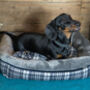 Grey Tartan Check Plush Dog Sofa Bed, thumbnail 1 of 4
