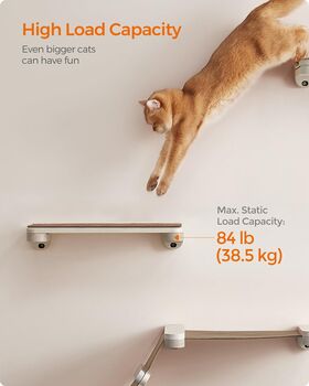 Cat Shelf Wall Mounted Replaceable Cat Wall Furniture, 4 of 7