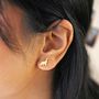 Brushed Dinosaur Stud Earrings In Gold Plating, thumbnail 1 of 5