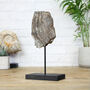 Woolly Mammoth Tooth Bespoke Solid Oak Stand Real Authentic Jurassic Dinosaur Fossil Natural History Interior Design Home Decor Display Gift Ornament, thumbnail 1 of 4