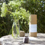Grow Your Own Bouquet And Vase Gift Set, thumbnail 8 of 12