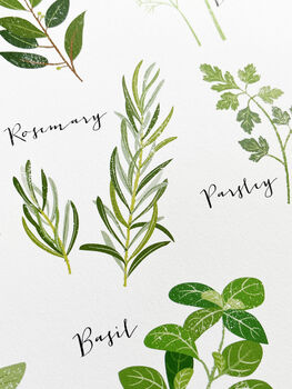 Culinary Herbs A4 Art Print, 5 of 7