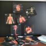 Human Anatomy Learning Cards And Gift Set, thumbnail 7 of 12