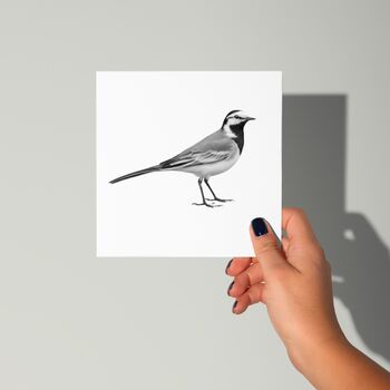 Wagtail Bird – Hand Drawn Nature Greeting Card Illustration, 2 of 6