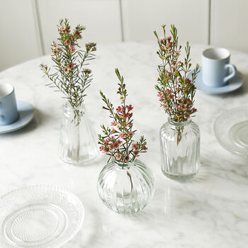 Clear Glass Bud Vase Set Of Three, 3 of 3