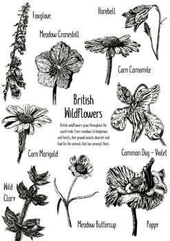 Wildflower Rubber Stamp Set, 4 of 7