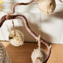 Dried Flower Egg Decorations, thumbnail 2 of 5