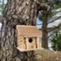Cork Bird House Feeder Tree Hanging Bird Box, thumbnail 10 of 11