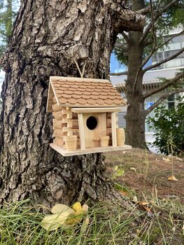 Cork Bird House Feeder Tree Hanging Bird Box, 10 of 11