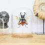 Fighting Stag Beetle Bell Jar, thumbnail 1 of 3