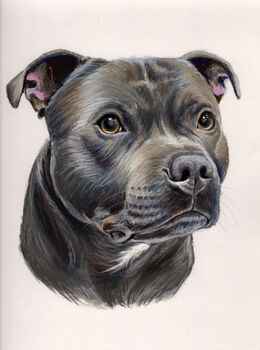 Pet Portrait In Pastel Pencil Drawing Painting, 5 of 8