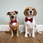 Personalised Bow Tie Dog Wedding Bandana, thumbnail 2 of 10