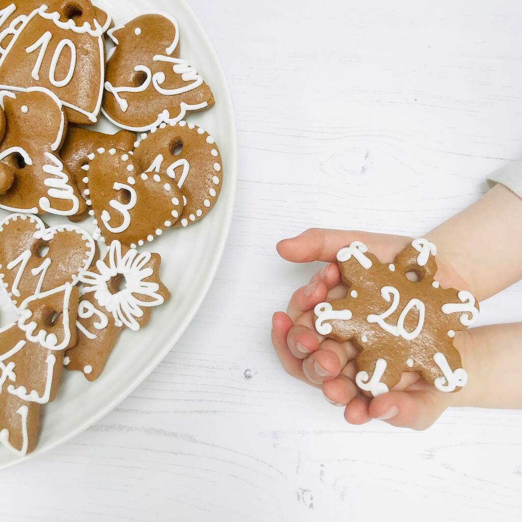 jolly ginger christmas biscuit kit by craft & crumb