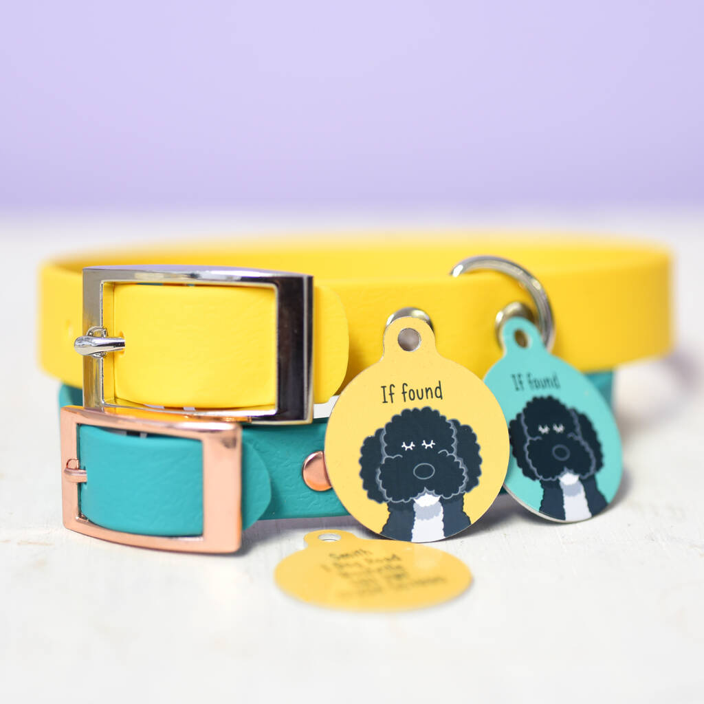 Personalised Dog Tag And Collar Gift Set By Hoobynoo