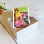 Wildflower Seed Wedding Favours In Moire Boxes, thumbnail 1 of 9