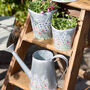 Spring Meadow Metal Watering Can Planter, thumbnail 3 of 4