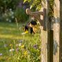 Handmade Felt Douglas The Dachshund Hanging Decoration, thumbnail 3 of 4