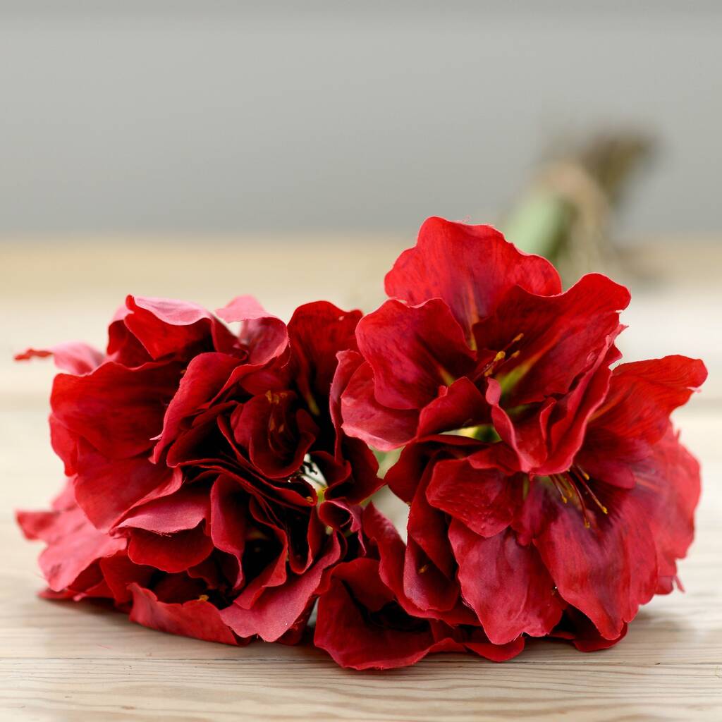 Artificial Red Amaryllis Flower Bunch By The Flower Studio ...