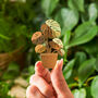 Monstera Tiny Plant Brass Ornament For Houseplant Lovers, thumbnail 1 of 4