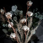 Dried Flower Bouquet Dried Eucalyptus And Cotton, thumbnail 4 of 7