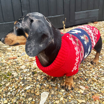 Christmas Red Fairisle Miniature Dachshund Jumper, 4 of 4