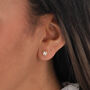 'Best Of Luck' Crystal Four Leaf Clover Earrings, thumbnail 2 of 6