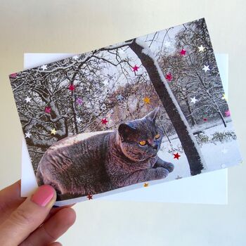 British Blue Cat With Stars Christmas Card, 2 of 4