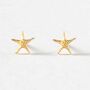 Starfish Earrings Gold, thumbnail 1 of 3