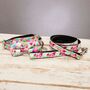 Clifton Rainbow Floral Bow Tie Collar And Lead, thumbnail 3 of 6