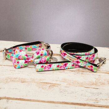 Clifton Rainbow Floral Bow Tie Collar And Lead, 3 of 6