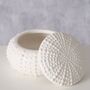 Sea Urchin Small Trinket Dish, thumbnail 1 of 4