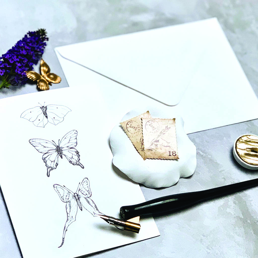 Tissue Wrapped Darwin Stationery Set By Sleepy Bee Studio