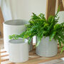 Pale Grey Ribbed Ceramic Plant Pot, thumbnail 1 of 4