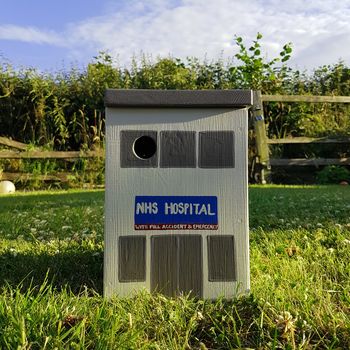 Personalised Hospital Bird Box, 4 of 5