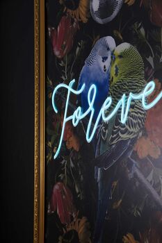 Forever Love Birds, Illuminated Neon Art, 3 of 4